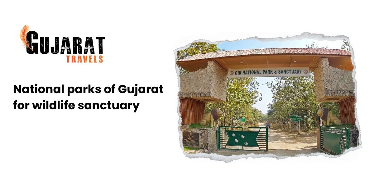 National parks of Gujarat for wildlife sanctuary